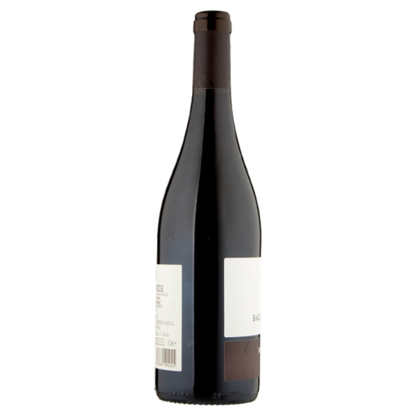 Baccichetto Vittorino Refosco dal Peduncolo Rosso Trevenezie IGT 75 cl