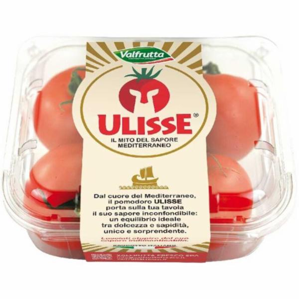 POMODORO ULISSE VALFRUTTA 300G