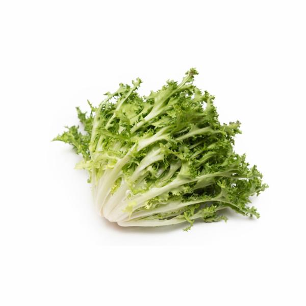 Scarola Riccia Al Kg