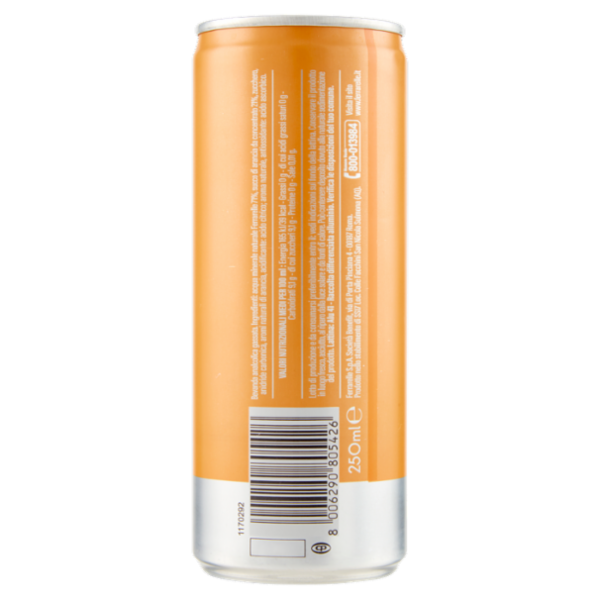 Ferrarelle Aranciata 250 ml