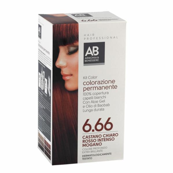 KIT COLORAZIONE CAPELLI CASTANO N.6.66 ARMONIA & BENESSERE