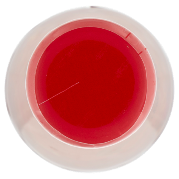 Lien Ying Asian-Spirit Frühlingsrollen-Sauce 200 ml