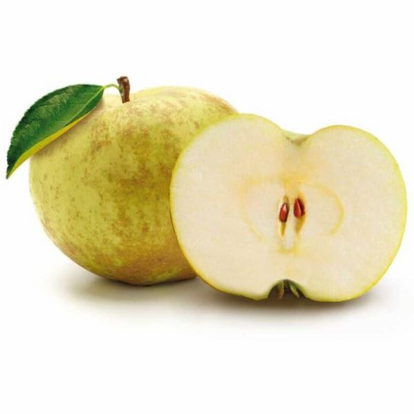 Melinda Mele Canada DOP Sfuse