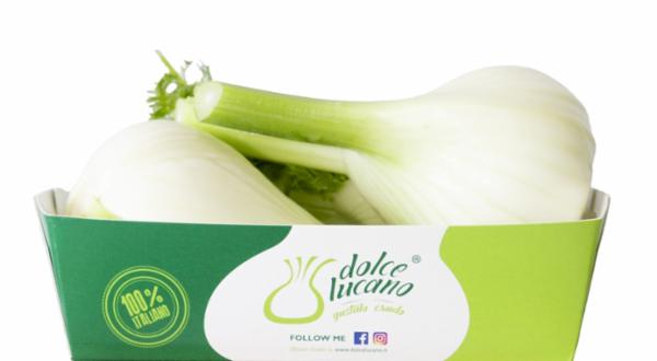 DOLCELUCANO FINOCCHIO 750G.