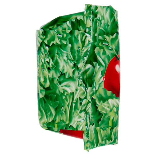 Nonno Nanni stracchino 250 g