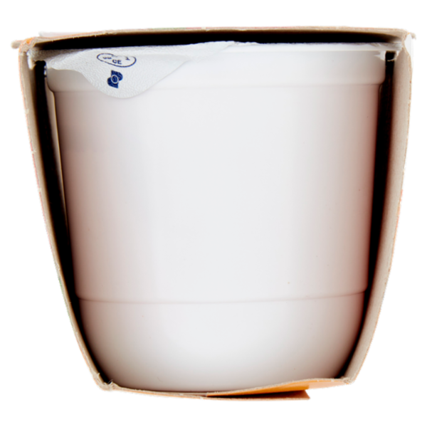 ZYMIL Alta Digeribilità Senza Lattosio Yogurt alla Fragola 2 x 125 g