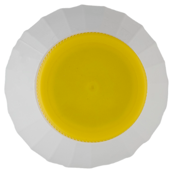 Granarolo Latte Più Giorni Intero 0,5 L