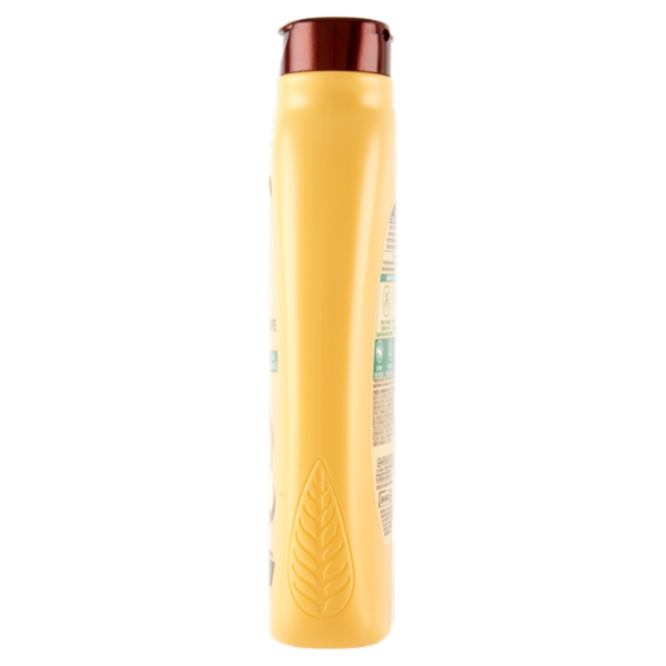 Garnier Ultra Dolce Shampoo all'olio di Avocado e burro di Karité per capelli ricci o mossi, 300 ml