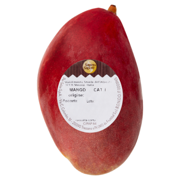 Selex Saper di Sapori Mango 380 g