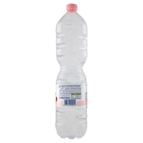 Alpe Guizza Fonte Caudana Naturale 1,5 L