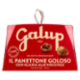 Galup il Panettone Goloso con Glassa alle Nocciole 750 g