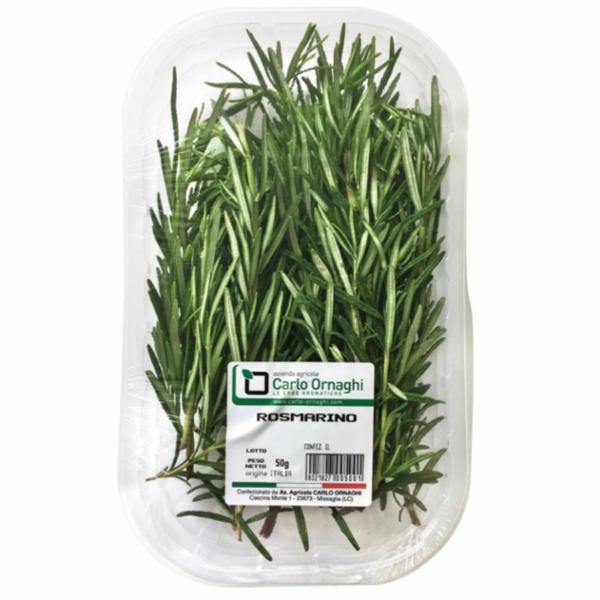 ROSMARINO
