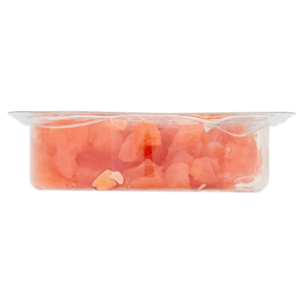 Salmon Planet fishbits Salmone Affumicato 100 g