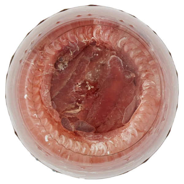 Assaggi e paesaggi Filetti Alici Mar Adriatico in Olio Extravergine Oliva 100% Italiano (43%) 90 g