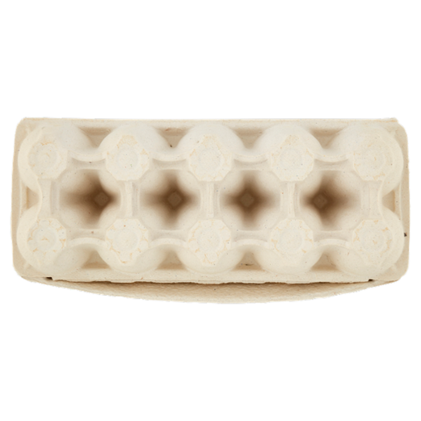 ovo mattino 10 Uova Fresche da allevamento a Terra 500 g