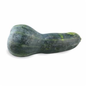 ZUCCA MINI MUSCAT PIEMONTE