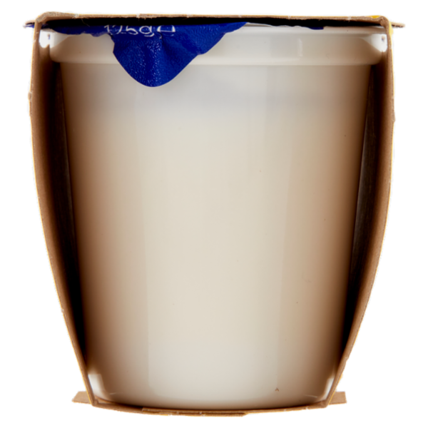 Centrale del latte Vicenza Yogurt Intero Frutta Frullata Agrumi 2 x 125 g