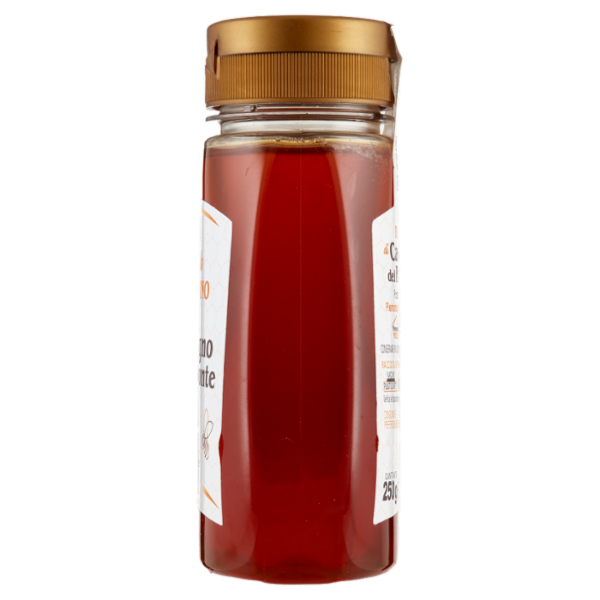 Piemonte Miele Miele Italiano di Castagno del Piemonte 250 g
