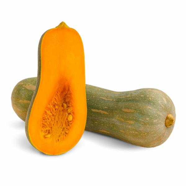 Zucca Intera