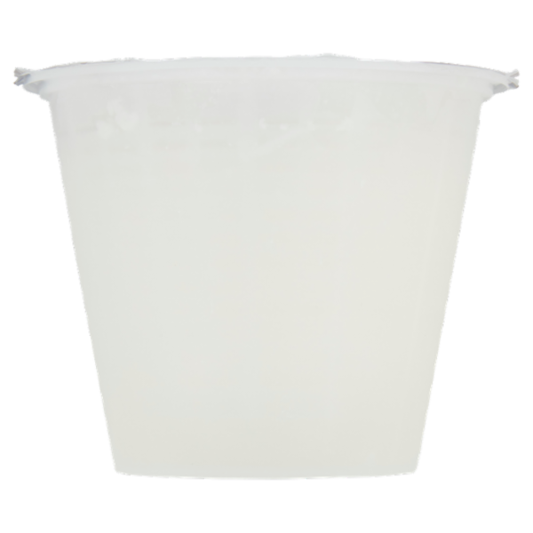 Selex Saper di Sapori Ricotta 300 g
