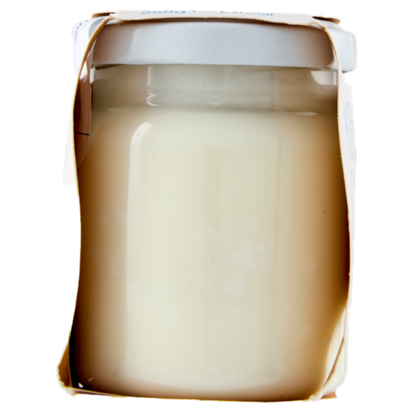 BiancoViso Yogurt di Capra Biologico Bianco Magro 2 x 125 g