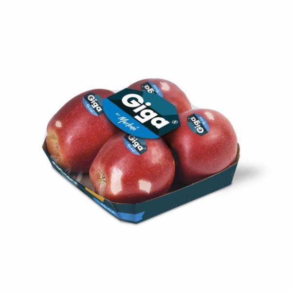 MELE GIGA VASS. g.900