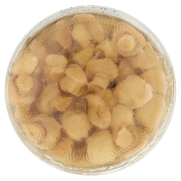 Sù Funghi Interi in Olio di Semi di Girasole 1,53 kg