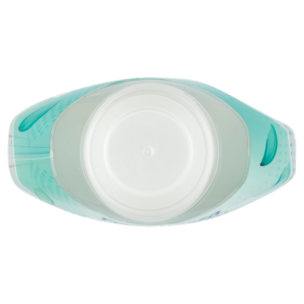 VERNEL Concentrato Fresh Control Vento di Freschezza 1,15L