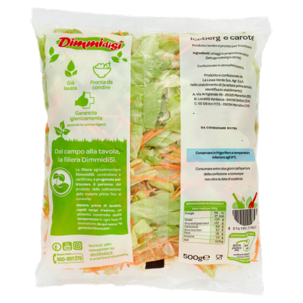 DimmidiSì ... alla maxi insalata Iceberg e carote 500 g