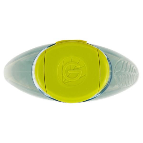 Garnier Shampoo Ultra Dolce Acqua di Cocco e Aloe Vera, Idrata i Capelli senza Appesantire, 250 ml