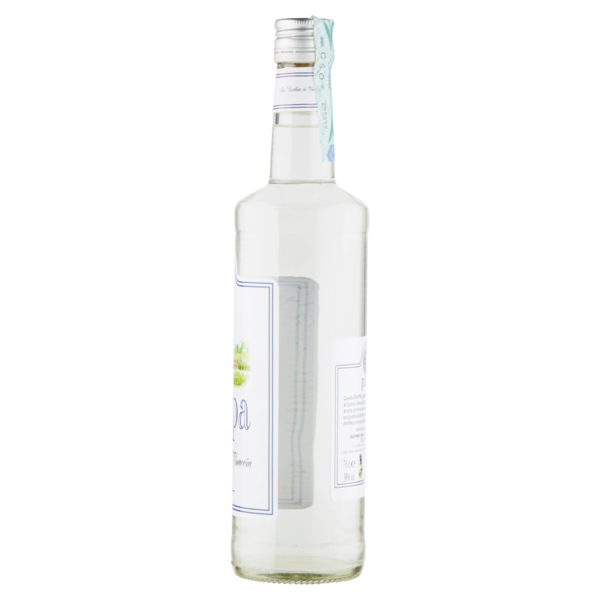 grappa Fine Distillato di Vinaccia 70 cl