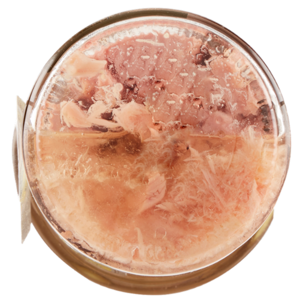 Angelo Parodi Filetti di Tonno Pescato a Canna in Olio d'Oliva 195 g