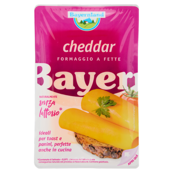 Bayernland cheddar Formaggio a Fette 100 g