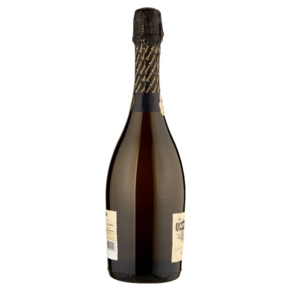 Carpenè-Malvolti Conegliano Valdobbiadene Prosecco Superiore D.O.C.G. Extra Dry 750 ml