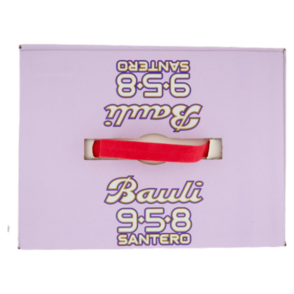 Bauli il Pandoro 700 g + con 958 Santero Millesimato 75 cl