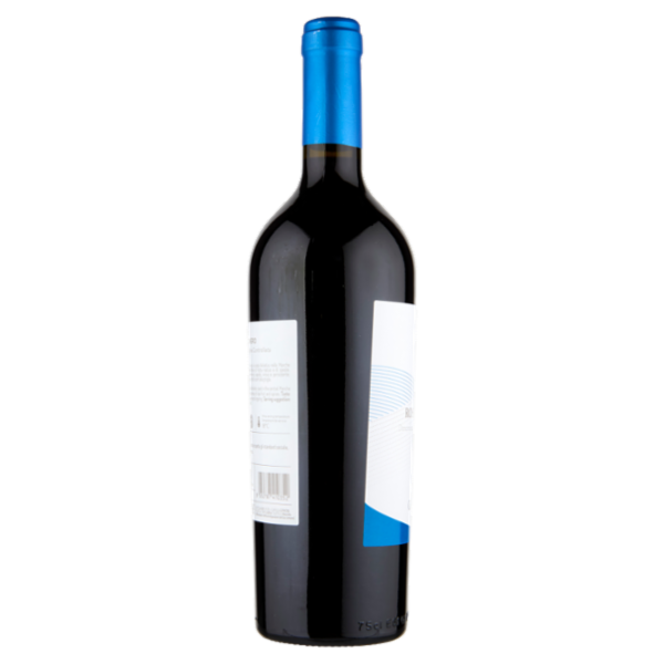 CasalFarneto Rosso Conero DOC 75 cl