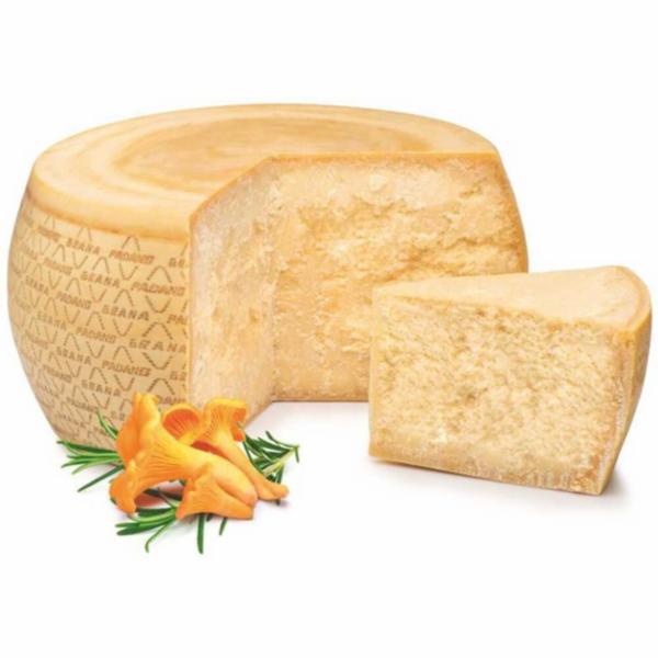 Grana Padano Dop Riserva Oltre 20 Mesi