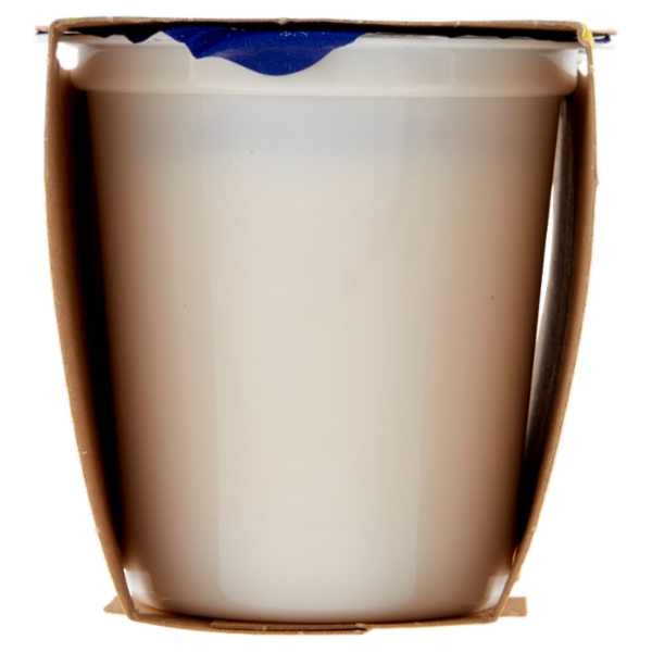 Centrale del latte Vicenza Yogurt Intero Frutta Frullata Pesca 2 x 125 g