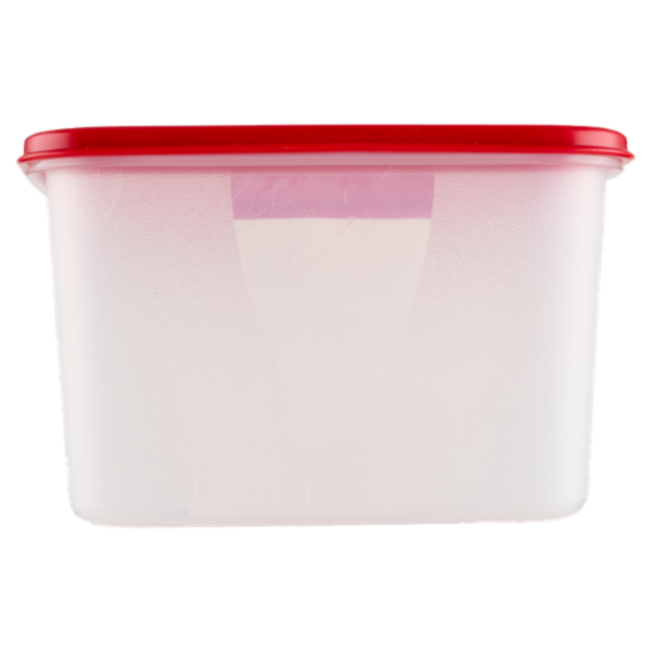 Selex Contenitore per Alimenti Freezer/Frigo Rettangolare 4,50 L