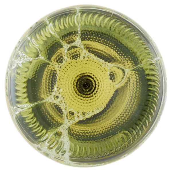 Dama Cristina Frizzantino Bianco Emilia IGT Amabile 75 cl