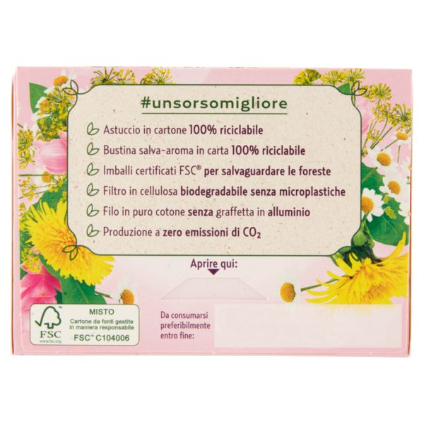 Pompadour Le Tisane Depurativa con Tarassaco e Curcuma 15 x 2 g