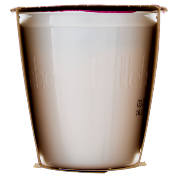lattebusche yogurt magro Fragole 2 x 125 g