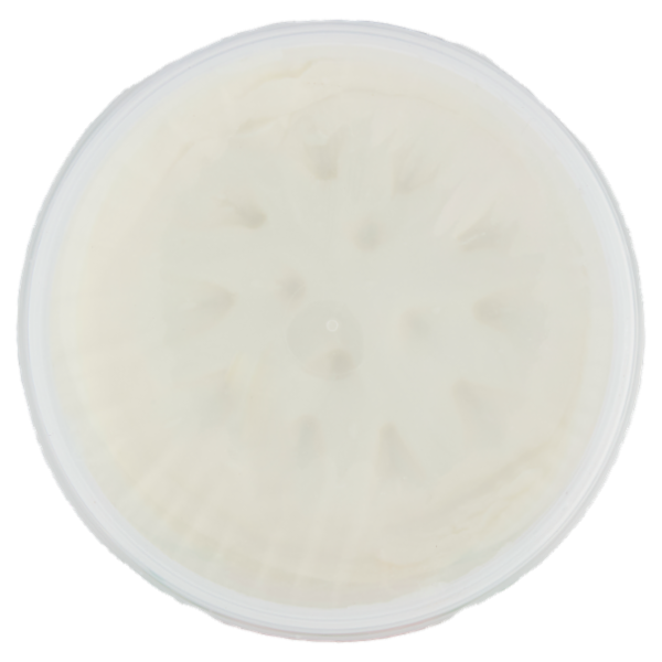 Caseificio Longo Ricotta del Boscaiolo 400 g