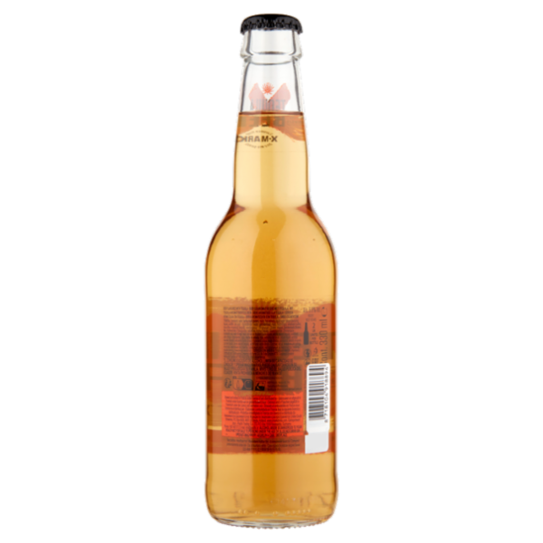 X-Mark Tequila Beer 330 ML