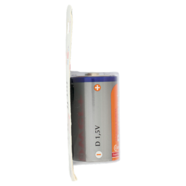 Consilia Saper Scegliere Pile Alcaline Torcia D 1,5 V 2 pezzi