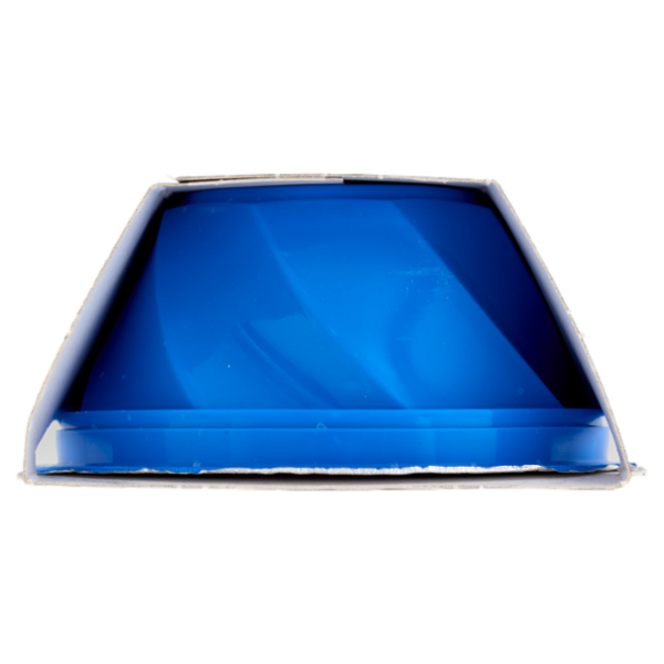 dolfin sensofreddo il sorbetto con succo di agrumi di Sicilia 2 x 100 ml