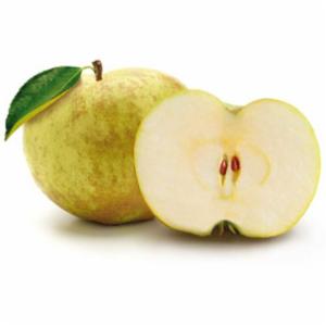 Melinda Mele Canada DOP Sfuse