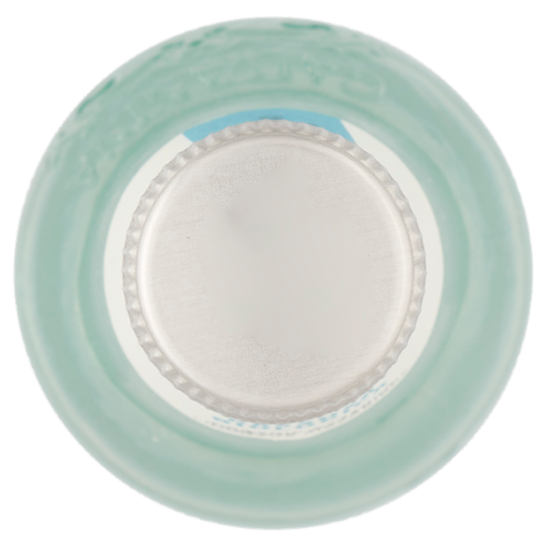 Galvanina Gassosa Biologica 355 ml