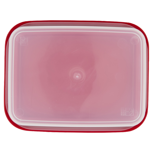 Selex Contenitore per Alimenti Freezer/Frigo Rettangolare 1,25 L