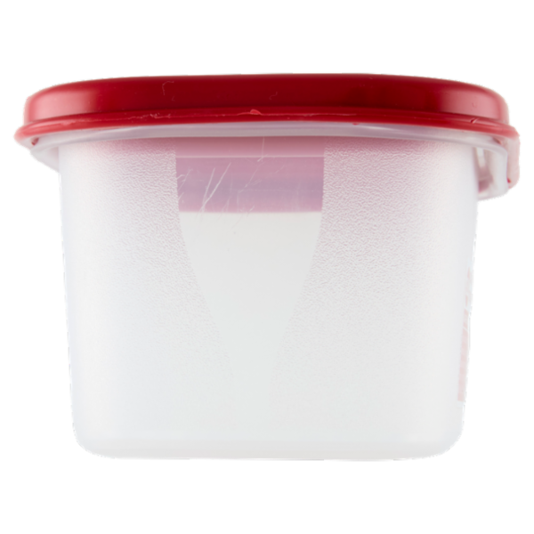 Selex Contenitore per Alimenti Freezer/Frigo Rettangolare 0,55 L